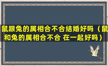 鼠跟兔的属相合不合结婚好吗（鼠和兔的属相合不合 在一起好吗）